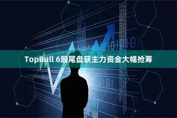 TopBull 6股尾盘获主力资金大幅抢筹