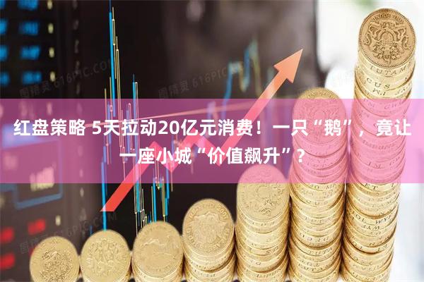 红盘策略 5天拉动20亿元消费！一只“鹅”，竟让一座小城“价值飙升”？