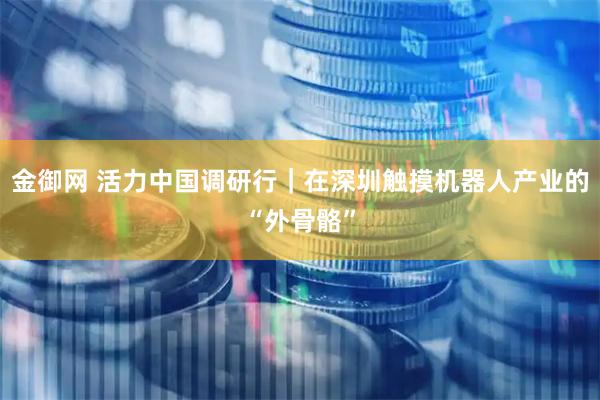 金御网 活力中国调研行｜在深圳触摸机器人产业的“外骨骼”