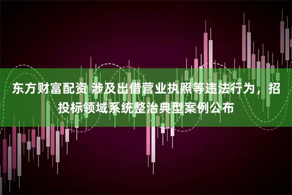 东方财富配资 涉及出借营业执照等违法行为，招投标领域系统整治典型案例公布